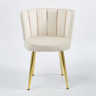 Ergonomic Dining Chair (Set of 2)