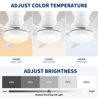 Low Profile Flush Mount Ceiling Fan With Light
