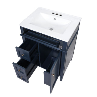 Bathroom Vanity With Top Sink, Storage Cabinet With 2 Drawers And Tip-Out Drawer