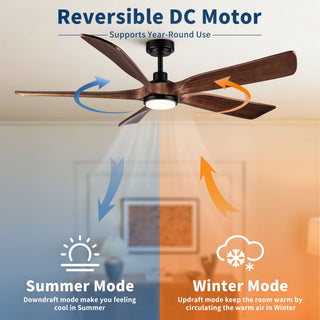 Ceiling Fan With Light And Remote Control