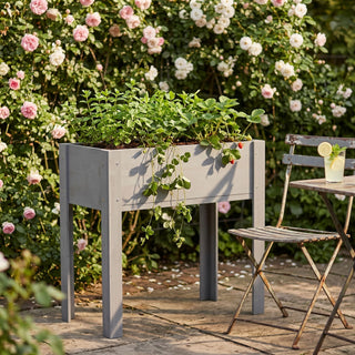 Raised Garden Bed With Legs, Elevated Planter Box For Outdoor Plants