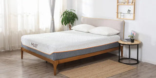 MLILY Fusion Supreme 11.5" Hybrid Luxury Mattress - Medium