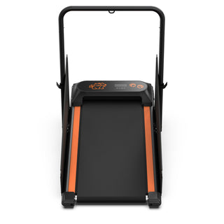 Dog Treadmill For Small To Medium Dogs With LED Display - Black / Orange