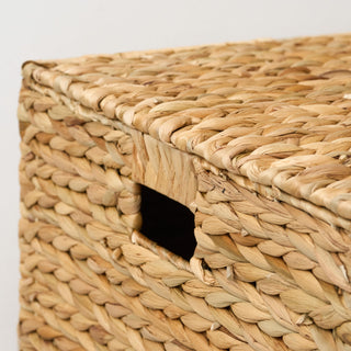 Ludmila - Rectangular Storage Trunk