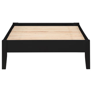 Spivey - Universal Platform Bed