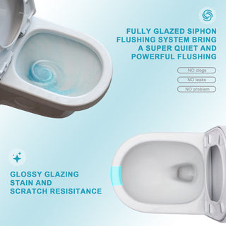 1 Piece Toilet For Bathroom, Dual Flush 1.1 / 1.6 Gpf, Soft Closing Seat - White