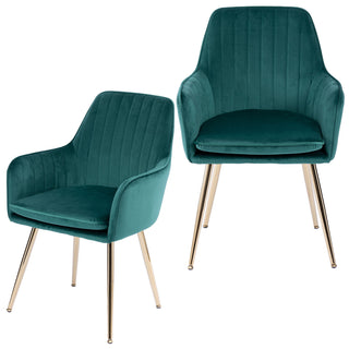 Modern Mid Back Dining Chairs