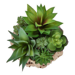 Artificial Succulent, Table Decor (Set of 2) - Green