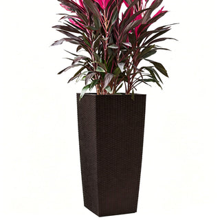 Indoor Outdoor Planter With Automatic Watering System