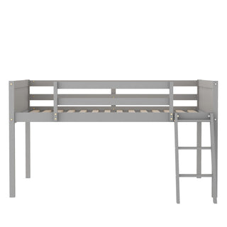 Low Loft Bed With Adjustable Ladder