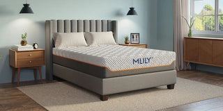 Mlily Fusion Supreme - 11.5" Hybrid Luxury Mattress, Medium