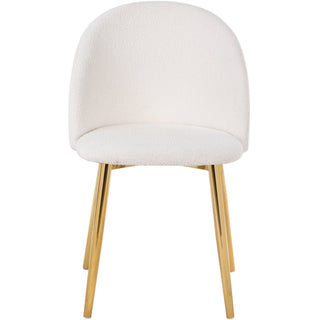 Marion - Mid Century Modern Dining Chair (Set of 2)