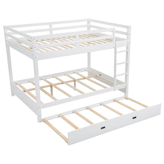 Sturdy Bunk Bed With Ladder