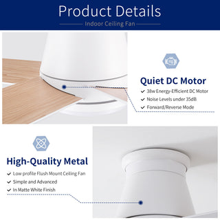 Flush Mount Ceiling Fan With Light