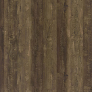 Harlie - 2 Door Wine Cabinet - Oak