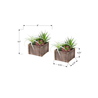 Artificial Succulent, Table Decor (Set of 2) - Green / Dark Brown