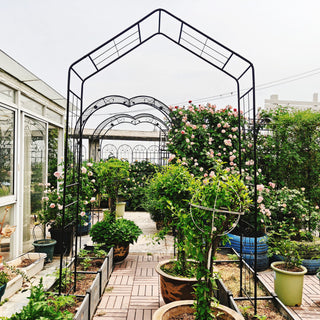 Garden Arch, Climbing Plants Support Outdoor - Black