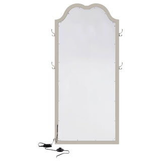 Colwood - Full Floor Mirror With LED Lighting And Storage Hooks - Silver