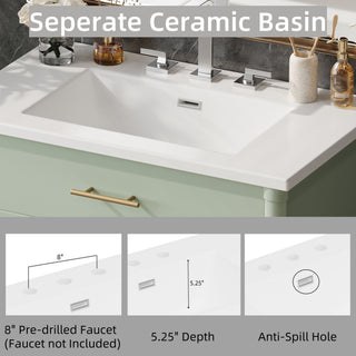 Bathroom Vanity With Sink, Soft Close Doors And Adjustable Shelf
