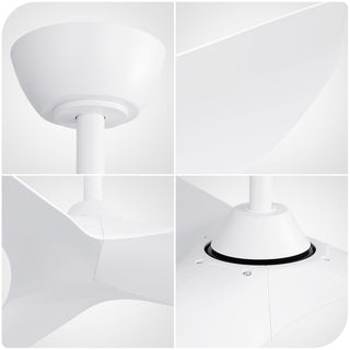 Ceiling Fan Without Light, DC Motor Remote Control Fan For Indoor / Outdoor Use - White