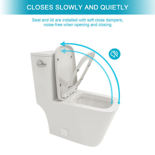 1 Piece Toilet With Single Flush And Soft Closing Seat - White
