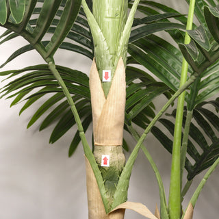 6Ft Golden Cane Artificial Palm Tree With Plastic Pot, Tropical Faux Palm, Indoor / Outdoor Decoration - Green Leaves