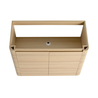Freestanding Bathroom Vanity With Sink & 2 Soft Close Doors
