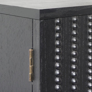 2 Door Storage Cabinet With Adjustable Shelf - Black