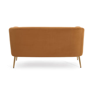 Modern Elegant Design Style Loveseat