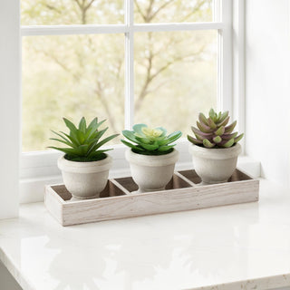 Artificial Succulent, Table Decor (Set of 3) - Green / Beige