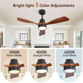 48" Ceiling Fan With Light, Dual Mount (Flush / Downrod), Dimmable LED, Quiet DC Motor, 3 Blades