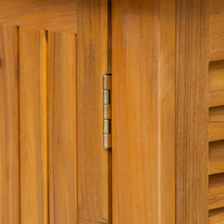 Kedzie - Acacia Wood Cabinet - Teak