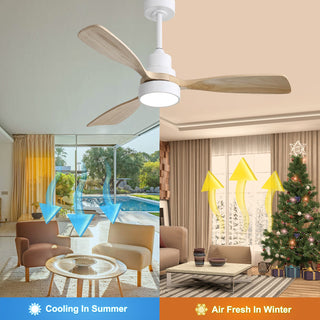 Indoor Ceiling Fan With Dimmable LED Light, 6 Speed Remote ControlLED DC Motor, Reversible Blades