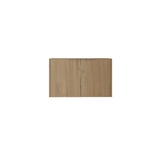 Floating Bathroom Vanity Cabinet With Soft Close Double Doors, Spacious Interior Storage, Wall Mounted, Cabinet Only