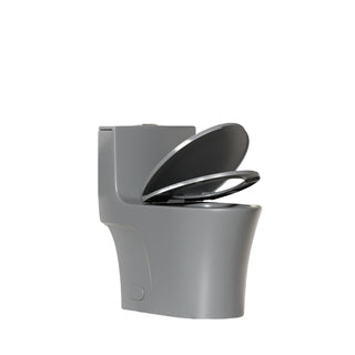 1 Piece Toilet With Dual Flush And Soft Closing Seat