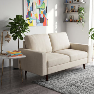 2 Seat Loveseat Sofa, Loose Back Cushion For Living Room