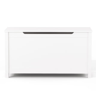 Toy Box Storage With Safety Hinged Lid