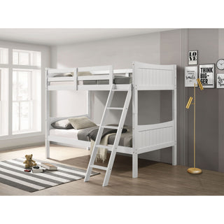 Sami - Bunk