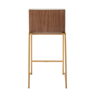 Mason Mara - Contemporary Design Fixed Height Counter Stool (Set of 2)