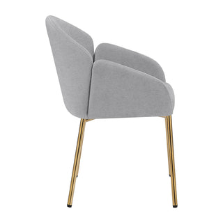 Upholstered Dining Chair (Set of 2)