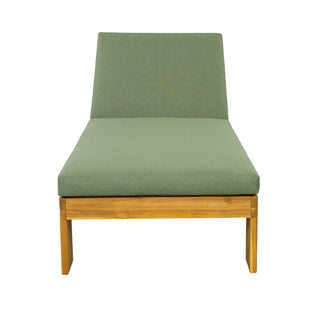 Outdoor Chaise Lounge With 5 Position Adjustable Backrest