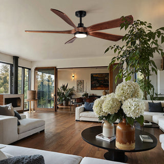 Ceiling Fan With Light And Remote Control