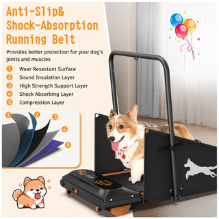 Dog Treadmill For Small To Medium Dogs With LED Display - Black / Orange