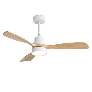 48" Ceiling Fan With Light, Dual Mount (Flush / Downrod), Dimmable LED, Quiet DC Motor, 3 Blades