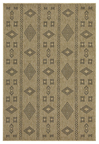 Earth - 2'7" X 7'3" Indoor, Outdoor Area Rug - Jute / Black