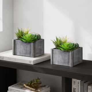Artificial Succulent, Table Decor (Set of 2) - Green / Dark Gray