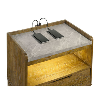 Packard - 1 Drawer Nightstand With LED Lighting And USB Charging - Oak