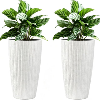 Tall Planters Set With Water Level Monitor And Auto Watering