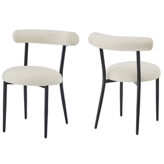 Modern Dining Room Chairs (Set of 2)