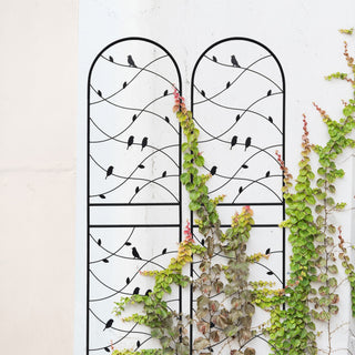 Garden Rustproof Trellis For Climbing Plants